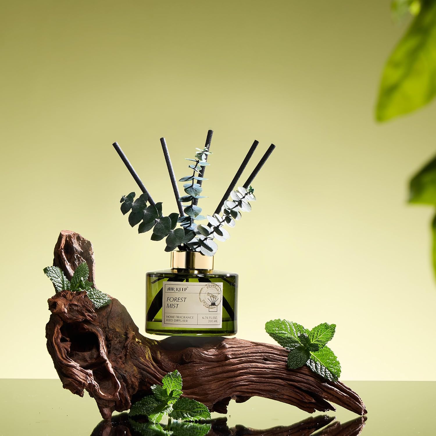 Forest Mist Reed Diffuser Set  - огляд і ціна Home Bathroom Images
