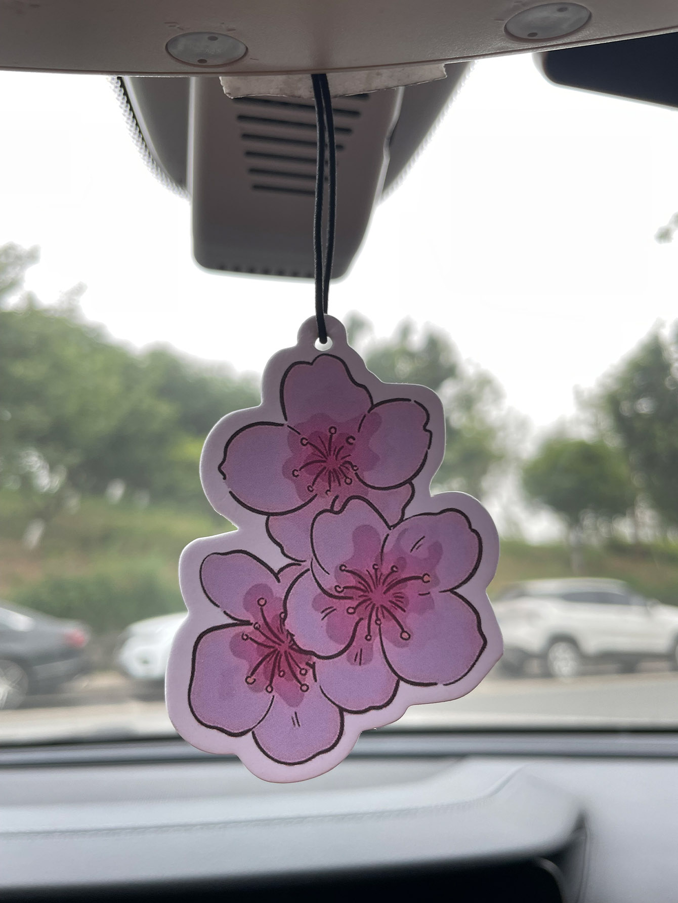 Sakura/Freesia Fresh Scent Fiv - огляд і ціна Home Bathroom Freshener