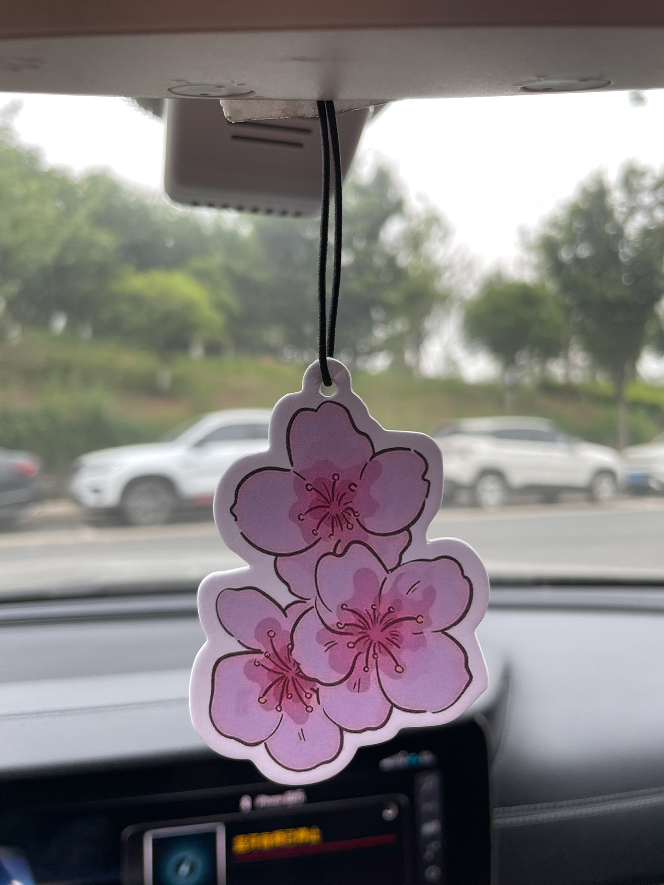 Sakura/Freesia Fresh Scent Fiv - огляд і ціна Home Bathroom Freshener