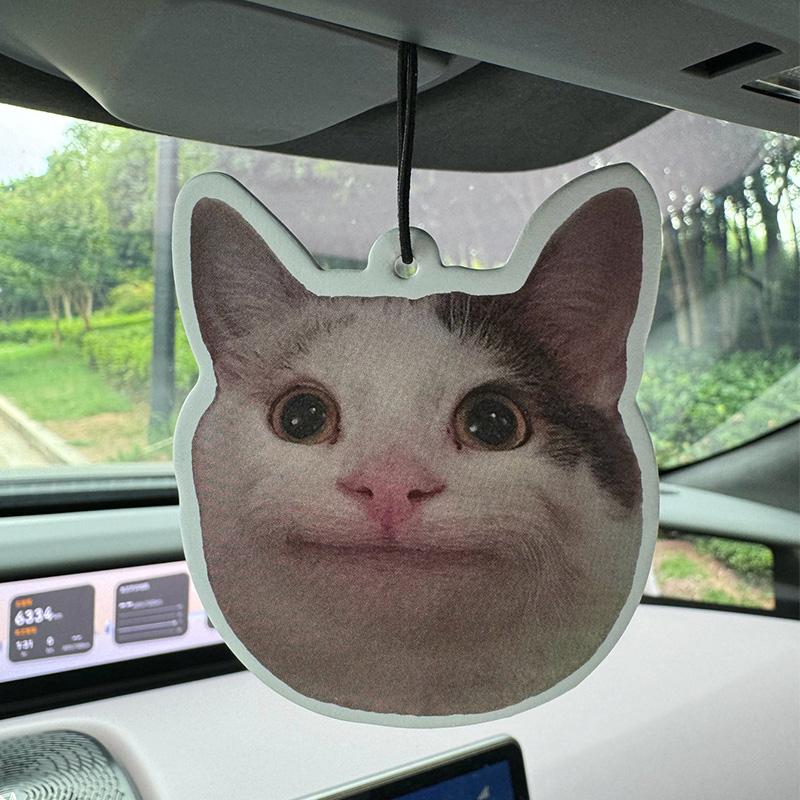 Sad Cat Emoticon Pack Hilton ( - огляд і ціна Home Bathroom Freshener