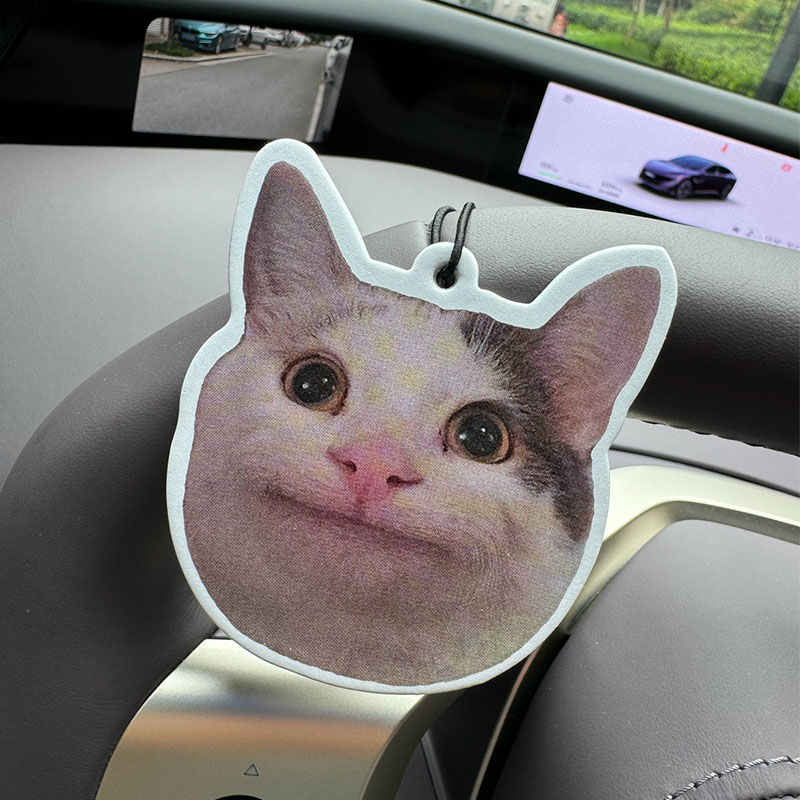 Sad Cat Emoticon Pack Hilton ( - огляд і ціна Home Bathroom Freshener